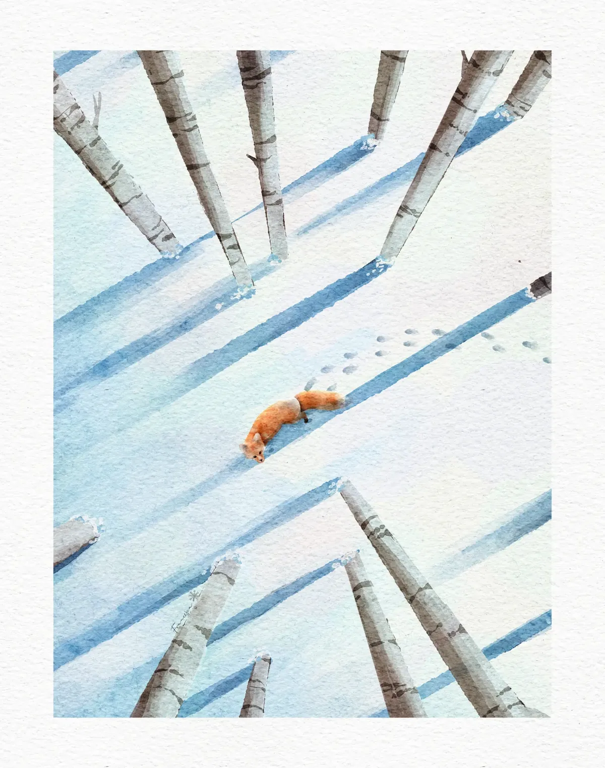 Watercolour illustration of a fox walking through snowy birch trees seen from above